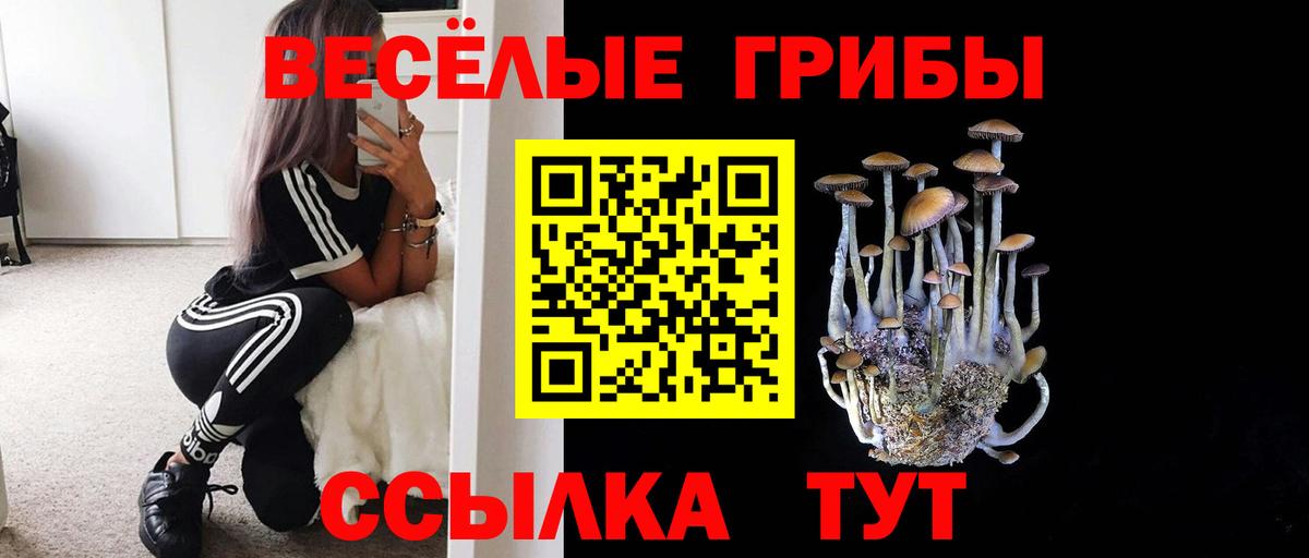 Нововоронеж  Галлюциногенные грибы Magic Shrooms  Вход с VPN 