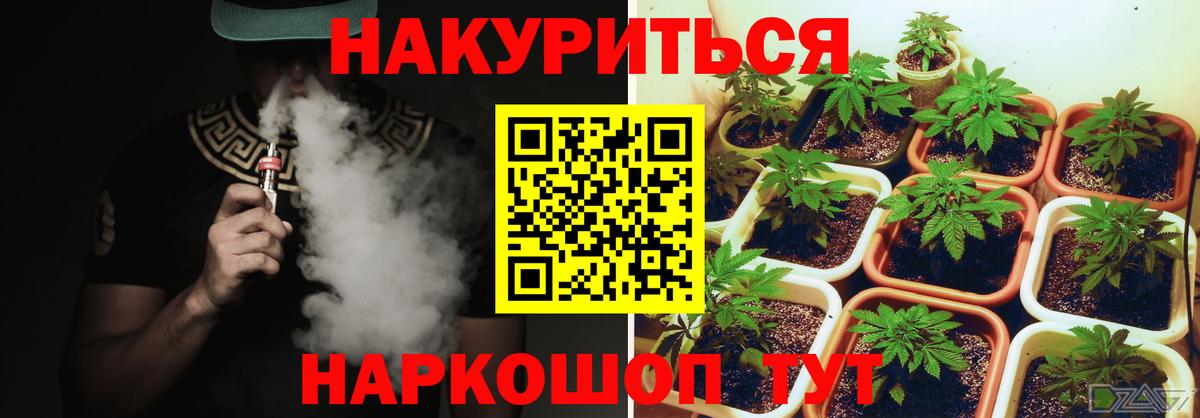 Конопля White Widow  МАРИХУАНА THC 21%  Вход с VPN  Канабис планчик  Бошки Шишки Amnesia  Нововоронеж 